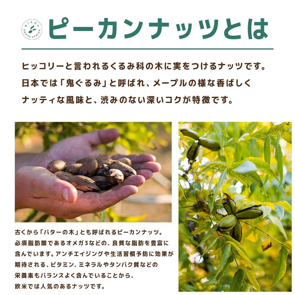 空路輸送でお届けする"新鮮さ"