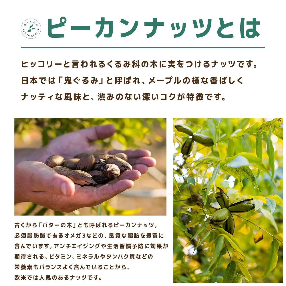 空路輸送でお届けする"新鮮さ"