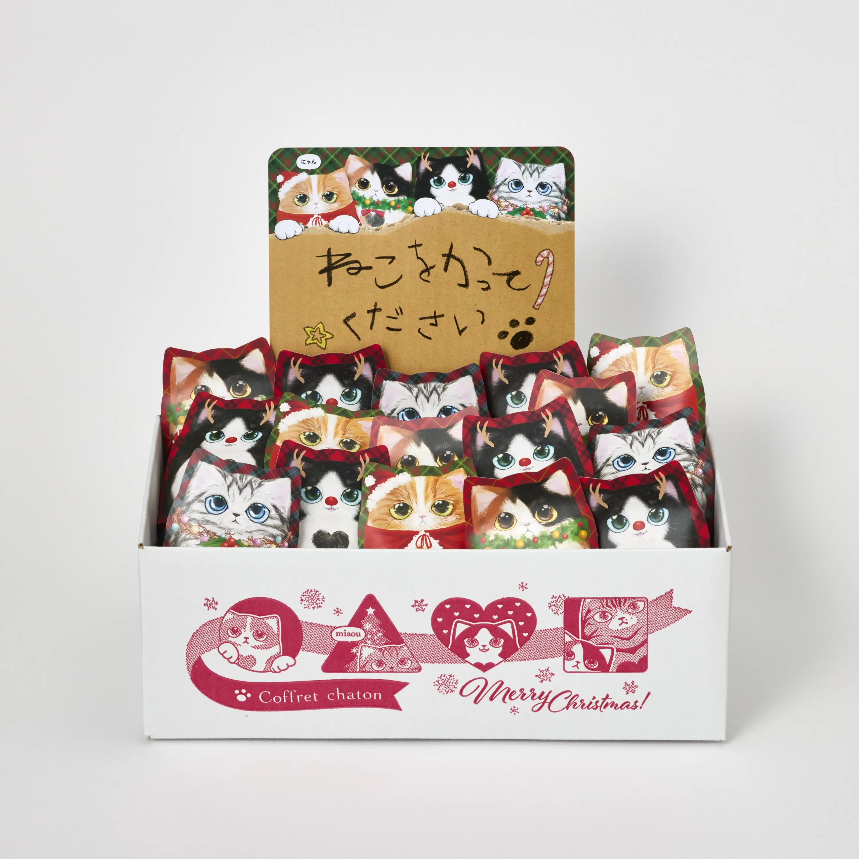 コフレシャトン X'mas子猫