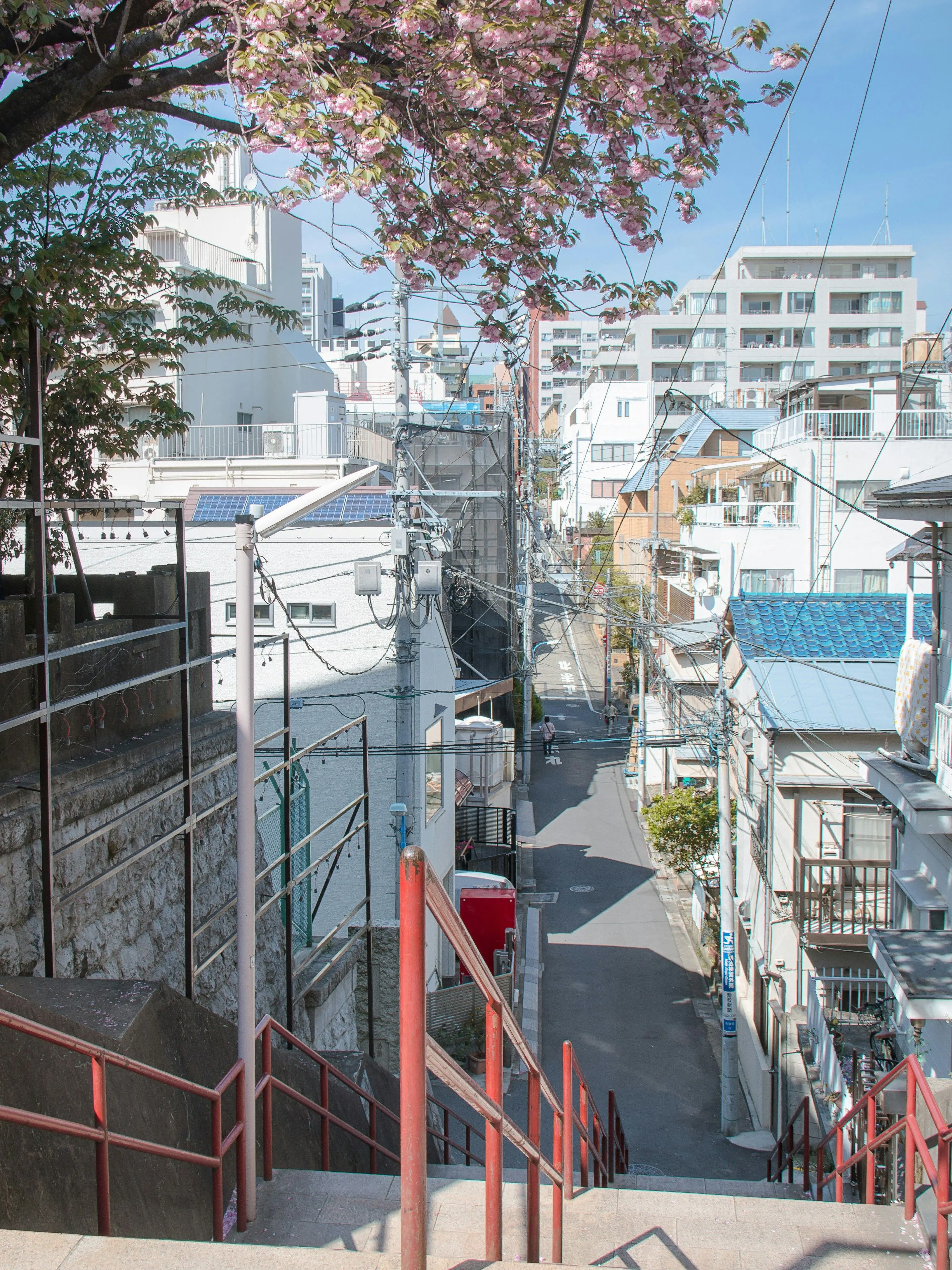 アニメや漫画、ゲームなど日本のサブカルチャーは世界中でとても人気があり、特に若い世代は日本の文化風習や日本食、日本語などに興味を持ったきっかけは日本のアニメや漫画という人がとても多いです。

