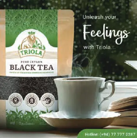 TRIOLA ブラックティーリーフ