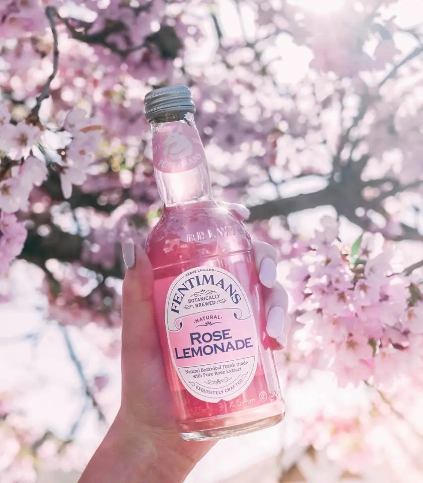 2018.4.19.RL_Sakura.png