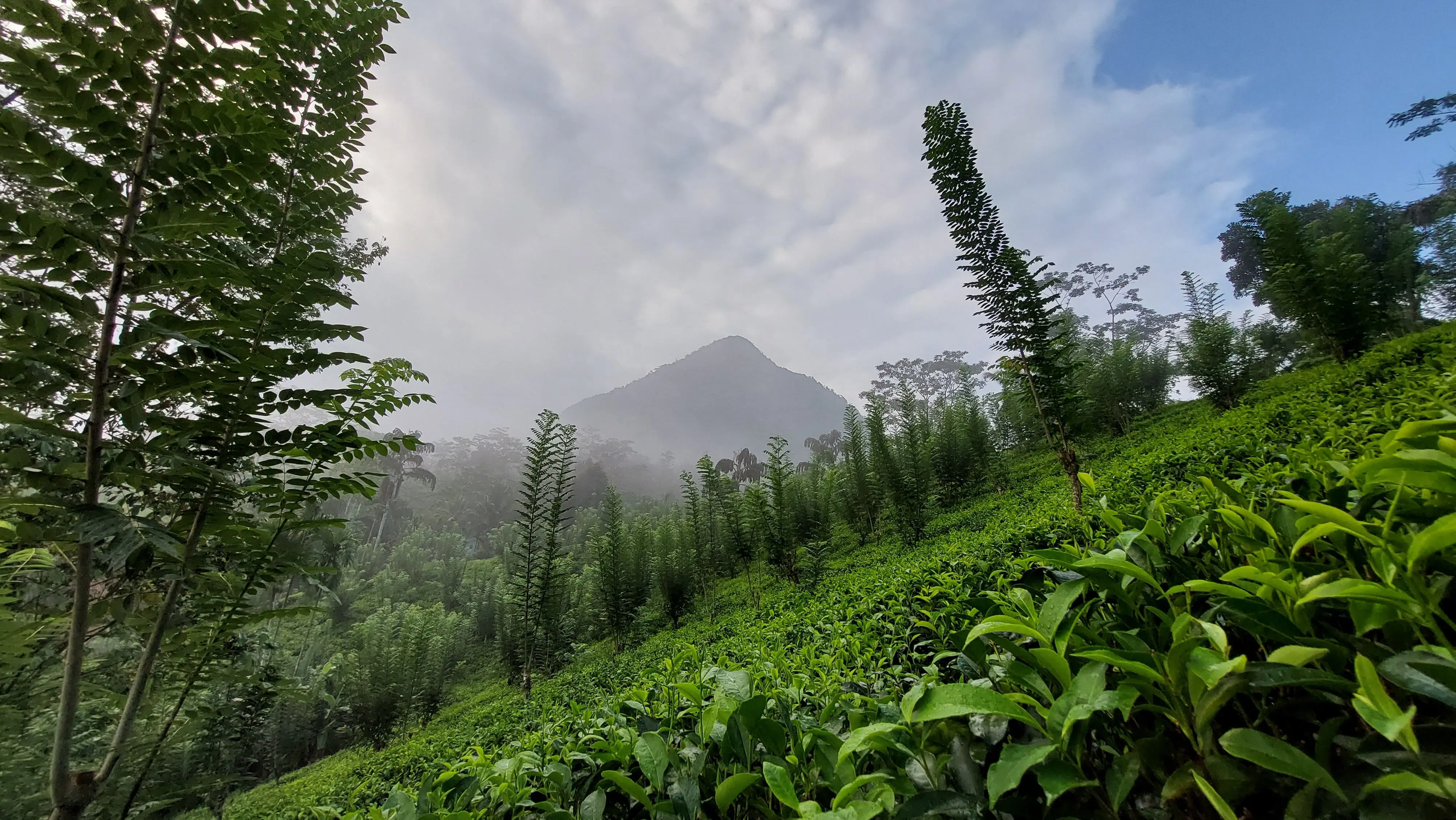 20220328_065410 (1).jpg