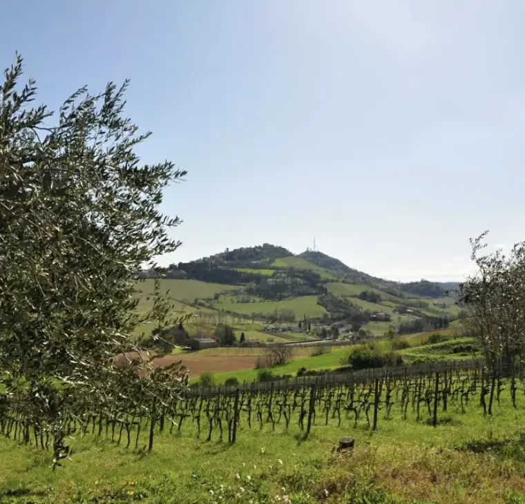 スクリーンショット 2025-02-14 160202.png