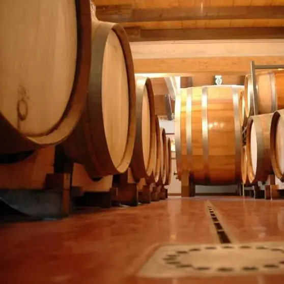 スクリーンショット 2025-02-14 160344.png