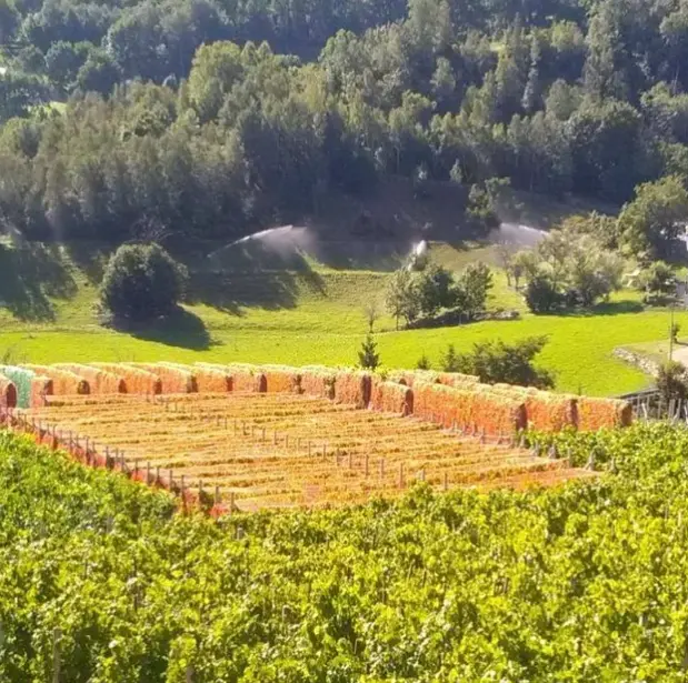 スクリーンショット 2025-02-14 161633.png