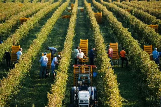 スクリーンショット 2025-02-14 165526.png