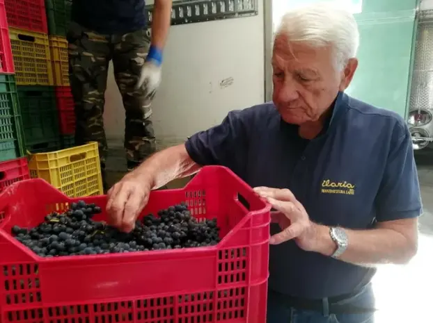 スクリーンショット 2025-02-14 171652.png