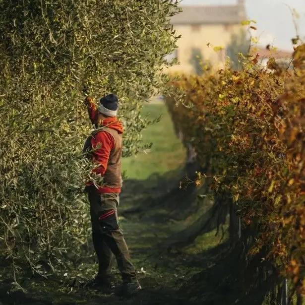 スクリーンショット 2025-02-18 133924.jpg