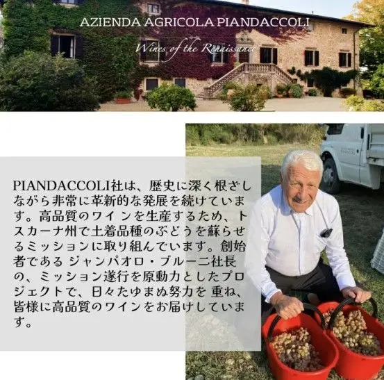 スクリーンショット 2025-02-18 141517.jpg