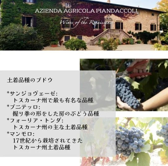 スクリーンショット 2025-02-18 141609.jpg