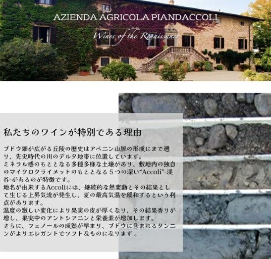 スクリーンショット 2025-02-18 141631.jpg