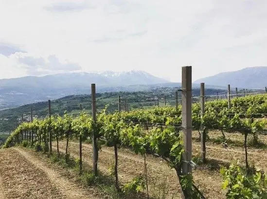 スクリーンショット 2025-02-18 143324.jpg