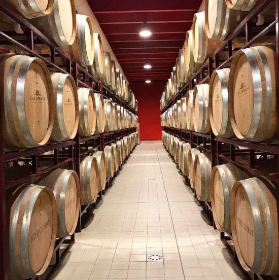 スクリーンショット 2025-02-18 143412.jpg