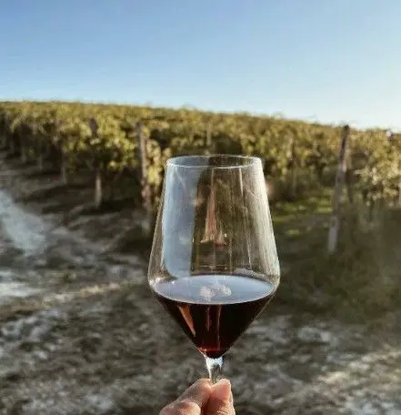 スクリーンショット 2025-02-19 163329.jpg