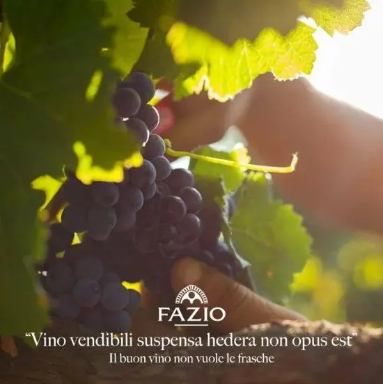 スクリーンショット 2025-02-19 164150.jpg