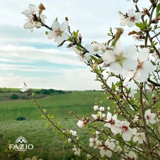 スクリーンショット 2025-02-19 164315.jpg