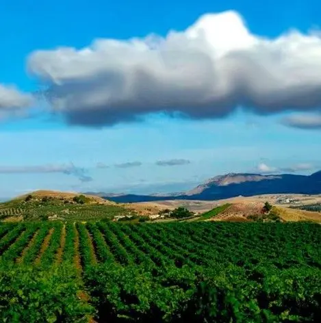 スクリーンショット 2025-02-19 172029.jpg