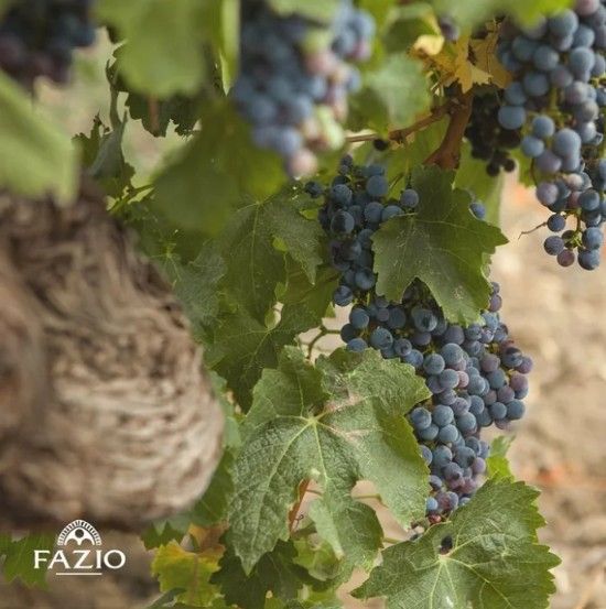 スクリーンショット 2025-02-19 172755.jpg