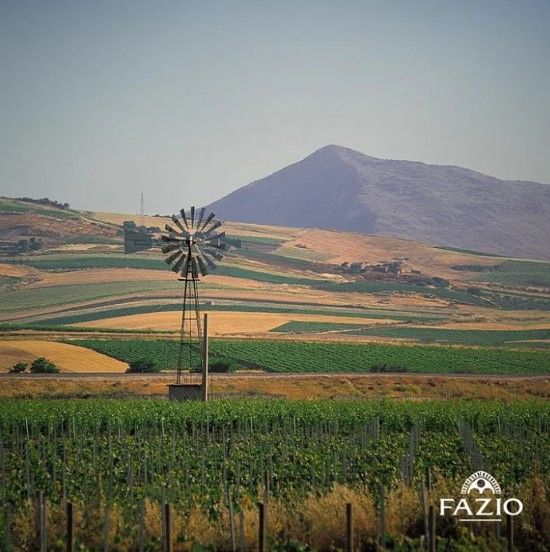 スクリーンショット 2025-02-19 173301.jpg