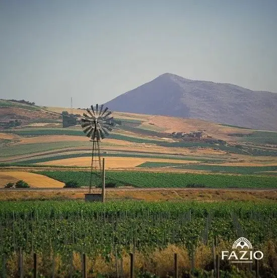 スクリーンショット 2025-02-19 173301.jpg