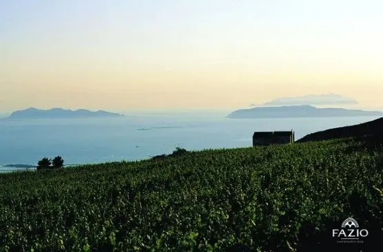 スクリーンショット 2025-02-19 174124.jpg