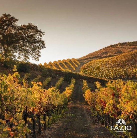 スクリーンショット 2025-02-19 174712.jpg