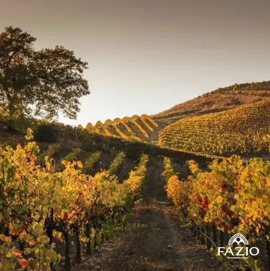 スクリーンショット 2025-02-19 174712.jpg