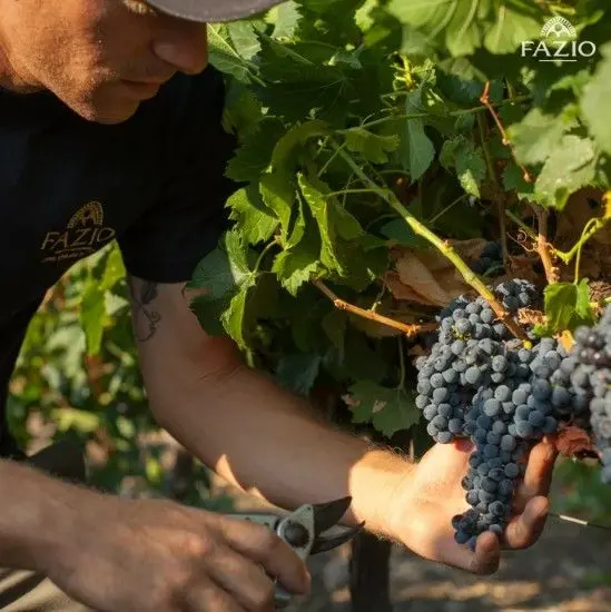 スクリーンショット 2025-02-19 175224.jpg