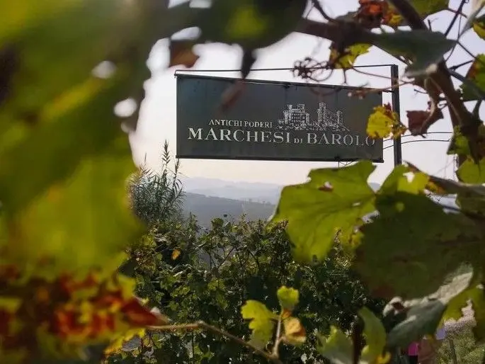 スクリーンショット 2025-02-20 140601.jpg