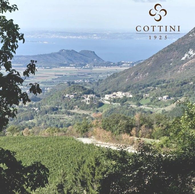 スクリーンショット 2025-02-20 142248.jpg