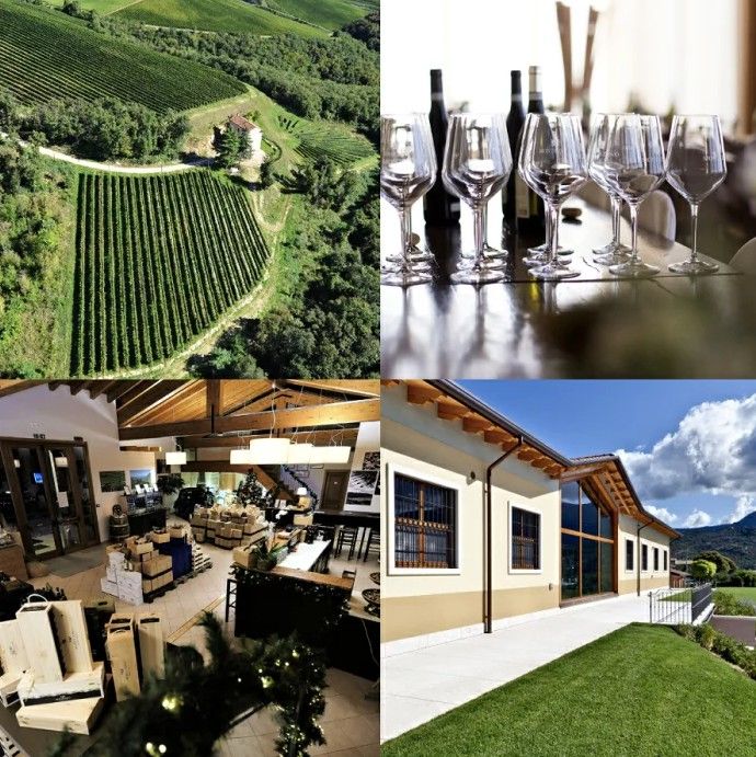 スクリーンショット 2025-02-20 142339.jpg