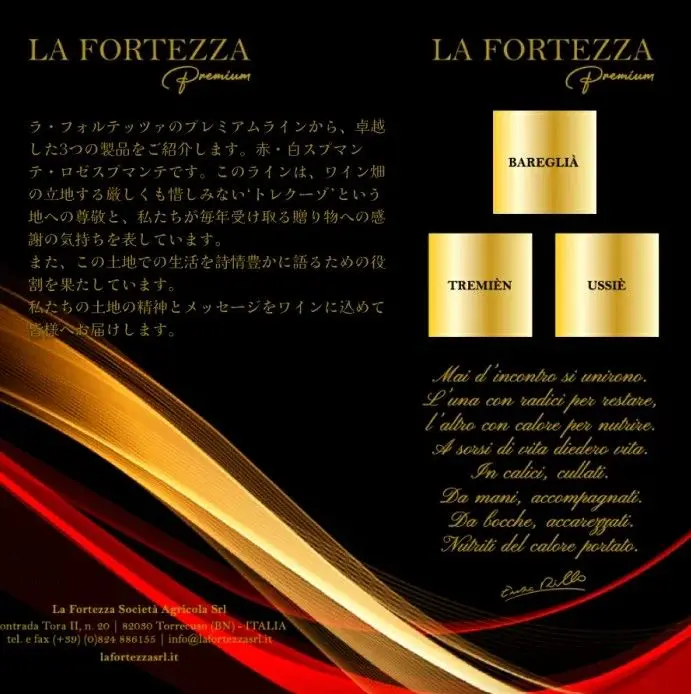 スクリーンショット 2025-02-20 145041.jpg