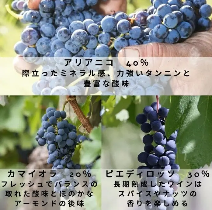 スクリーンショット 2025-02-20 145126.jpg