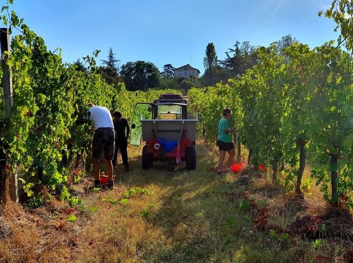 スクリーンショット 2025-02-20 153825.jpg