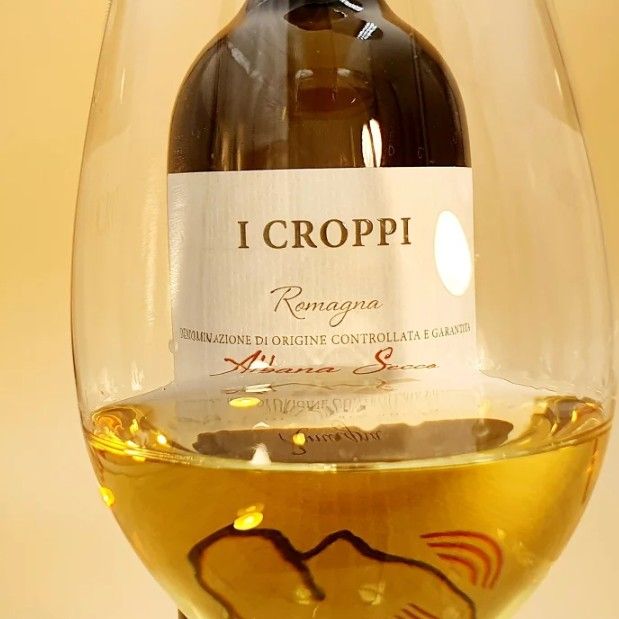 スクリーンショット 2025-02-20 153911.jpg