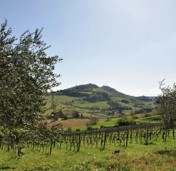 スクリーンショット 2025-02-20 161342.jpg