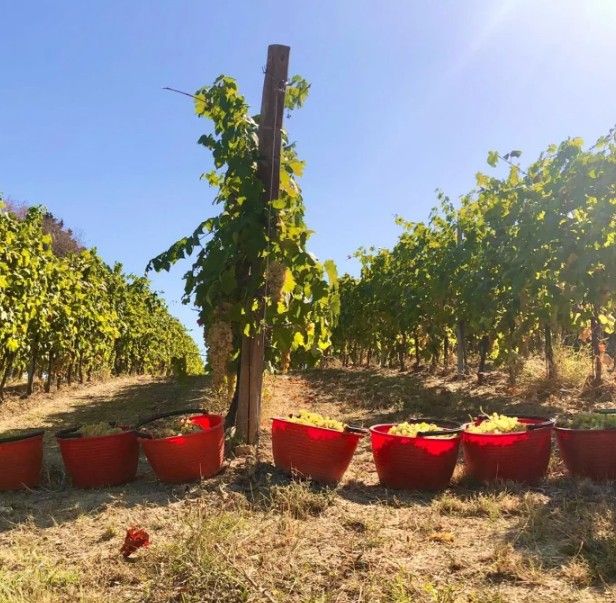 スクリーンショット 2025-02-20 161404.jpg