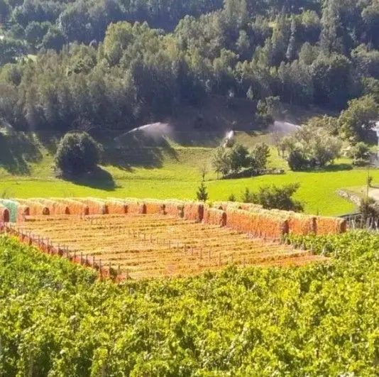 スクリーンショット 2025-02-20 164435.jpg