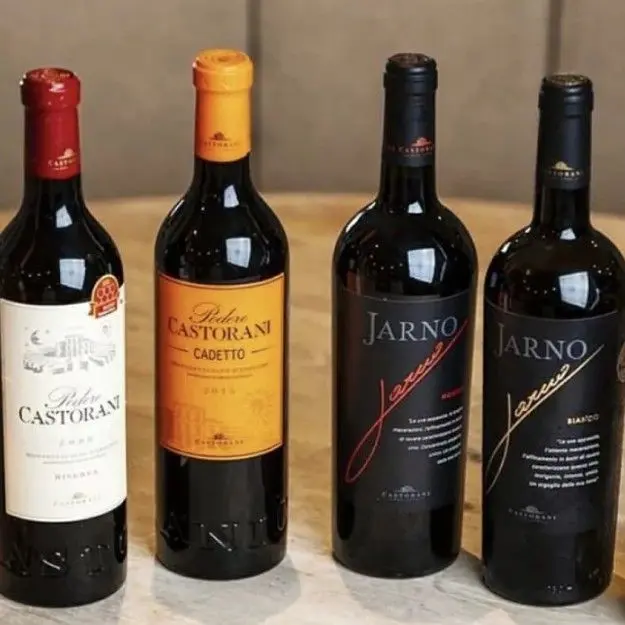 スクリーンショット 2025-02-20 164936.jpg