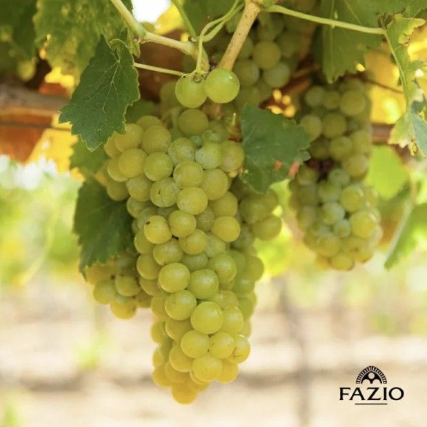 スクリーンショット 2025-02-20 173730.jpg