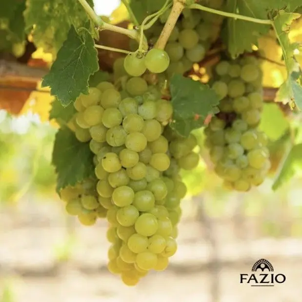 スクリーンショット 2025-02-20 173730.jpg