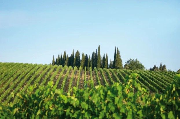 スクリーンショット 2025-02-20 174112.jpg