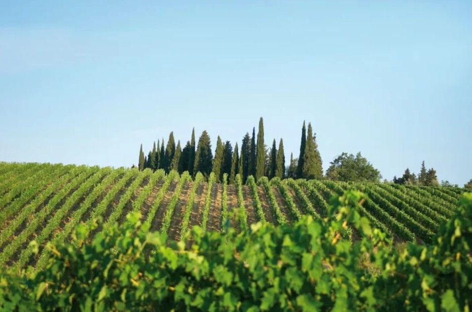 スクリーンショット 2025-02-26 152450.jpg