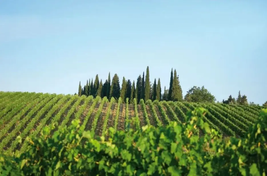 スクリーンショット 2025-02-26 152450.jpg