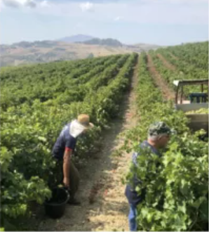 スクリーンショット 2025-02-27 110610.png