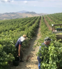 スクリーンショット 2025-02-27 115408.png