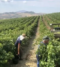 スクリーンショット 2025-02-27 115408.png