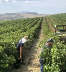 スクリーンショット 2025-02-27 131205.png