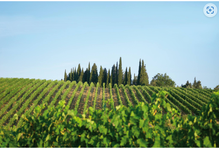 スクリーンショット 2025-02-27 144900.png